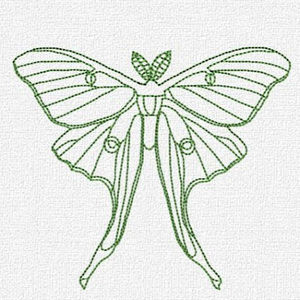 Meet your Posher, Baby j